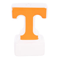 Tennessee Salt and Pepper Set