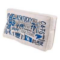 Kentucky Collage Pillow